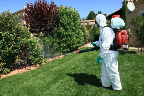 San Fernando Mosquito Control