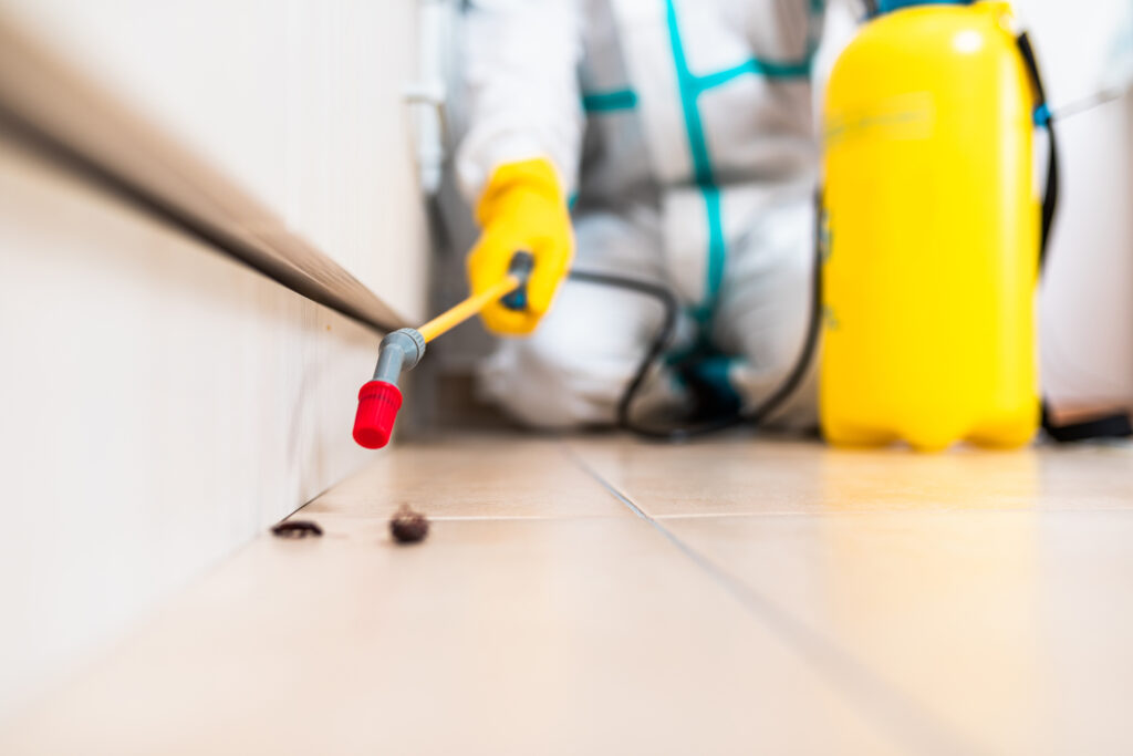 San Fernando Cockroach Experts