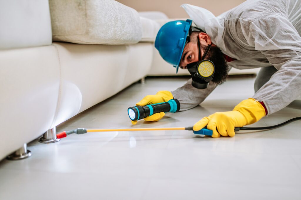 San Fernando Termite Control